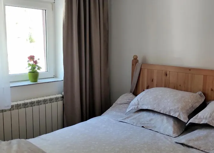 Tinyhouse * 布拉索夫