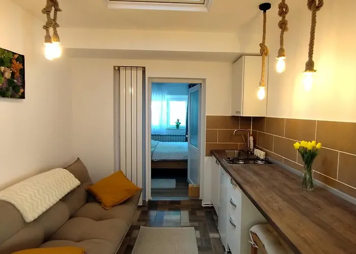 Tinyhouse * 布拉索夫